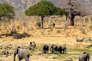 Ruaha
