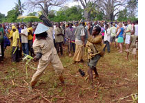 Mwaka Kogwa